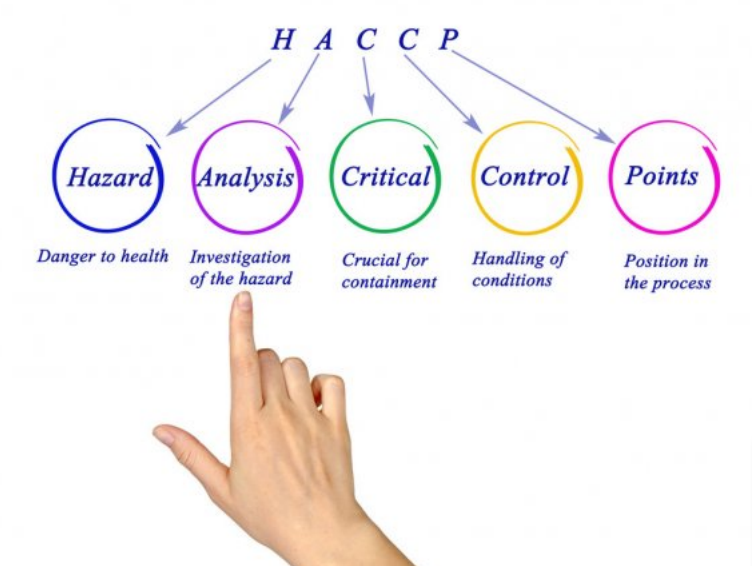 haccpの意味